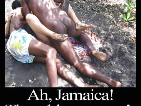 White Slut Training Academy